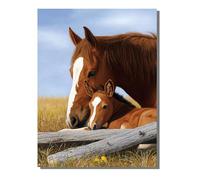 Animal Paint by Numbers for Children, 12 x 16 in Large Paint by Numbers for Adults Horse, DIY Oil Paintings Crafts Hobbies Gifts with Frame Brushes and 36 Acrylic Pigment Home Wall Decor ZBSDK925