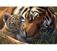 Animal Paint by Numbers Tiger Paint by Numbers for Children Beginners, DIY Crafts for Adults Paint by Numbers Canvas, Oil Painting with Brushes and Acrylic Pigmen, Wall Art Decor Gifts 30x40cm