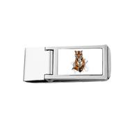 Animal Paper Breaks Shock Tigers Slim Money Clip Stainless Holder Pocket Wallet