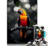 Animal Parrot Puzzles for Teenagers Teens 1000pc Puzzle,Stress Reliever Staycation Kill Time with Matching Poster And Trivia Sheet (50x75cm)