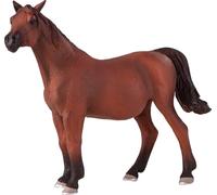 ANIMAL PLANET ARABIAN MARE IN FOAL
