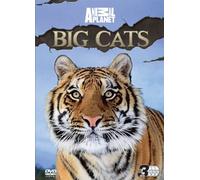Animal Planet: Big Cats [DVD]