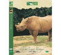 Animal Planet : The Last Rhino [All Region]
