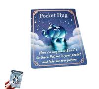 Animal Pocket Hug Gifts,Mini Resin Animal Hug Token with Card,Cute Turtle Encouragement,Keepsake Gift for Friend Birthday Anniversary (E)