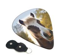 Animal Pony Horse Guitar Picks 6 Pcs, 0.71mm Thickness Celluloid Plectrum with Leather Picks Holder, Personalized Guitar Pick for Bass Electric Acoustic Guitars Lovers Gift