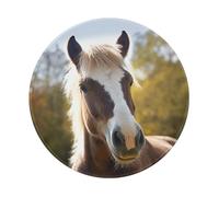 Animal Pony Horse Mouse Pad with Anti-fray Stitching, Waterproof Gaming Mouse Mat for Men Women Non-Slip Rubber Base Round Computer Mousepad for Office Desk Accessories 8in