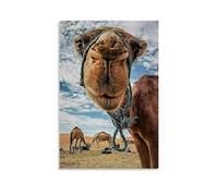 Animal Poster Camel Close Up Canvas Art Poster and Wall Art Picture Print Modern Family bedroom Decor Posters 12x18inch(30x45cm)