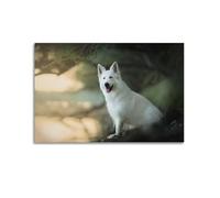 Animal Poster White Swiss Shepherd Golden Sunlight Mountain Lake Nature Decorative Canvas Family Bedroom Artwork Picture Painting 24x36inch(60x90cm)