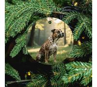 Animal Print Pit Bull Ceramic Christmas Ornament - 2 Pcs Xmas Tree Porcelain Hanging Ornaments, Round Farmhouse Pendant for Xmas Tree, Holiday Party Decorations & Festive Gift 2.8 Inch