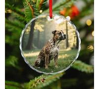 Animal Print Pit Bull Christmas Ornaments - Round Christmas Tree Decorations with Red String, Winter Holiday Keepsake Pendant for Fireplace, Mantel, Wreath Holiday Party Decor (3.1 Inch)