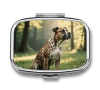 Animal Print Travel Pill Box, Travel Pill Organizer with 2 Compartments, Weekly Pill Case with Mirror for One Day, Medicine Organizer for Purse
