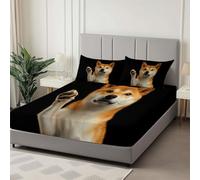 Animal Puppy High Five Printed Fitted Sheet Single, Soft Microfiber Fitted Bed Sheets Shrinkage Fade Resistant Bedding with 2 Pillowcases, Deep Pocket 30cm Fitted Sheet for Single Double King, Black