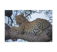 Animal Puzzles for Adults, 1000 Piece Leopard Print Jigsaw Puzzle, for Educational Games for Women and Men, Large Puzzle 38x52CM