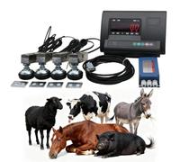 Animal Scale Kit, 6600lbs Pallet Load Cell Scale Platform for Cattle, Goat, Pig, Horse, Sheep with Weight Indicator for Accurate Weighing