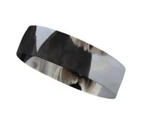 Animal Schnauzer Dog Sweatbands Wicking and Moisture-Wicking Function Running Headband Cotton Polyester Fiber Sweat Band for Tennis Basketball Running Gym Working Out