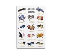 Animal Science Poster Axolotl Posters Axolotl Morphs Art Canvas Painting Posters- Poster Decorative Painting Canvas Wall Posters And Art Picture Print Modern Family Bedroom Decor Posters 12x18inch(30x