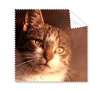 Animal Sentimental Cat Simpol Shoot Glasses Cloth Cleaning Cloth Phone Screen Cleaner 5pcs Gift