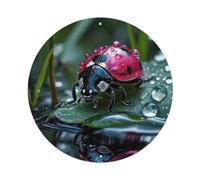 Animal Seven-star Ladybird on A Leaf Artwork Metal Tin Sign