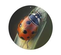 Animal Seven-star Ladybird on Leaf Artwork Metal Tin Sign