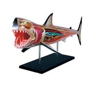 Animal Shark Anatomy Model, Biological Model, Animal Organ Anatomy, Popular Science Toys, Fish Model In The Ocean, Utensil