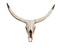 Animal Skull Cow Bison Skull Head Wall Hanging - Rustic Bull Skulls Art for Lodge Decor with Western Native American-Themed(F)
