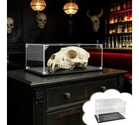 Animal Skull Display Case Dustproof, Halloween Countertop Box for Bar/Hospitals/School/Office, Large Storage Standing Space Showcase(L25xW40xH15cm/10x16x6")