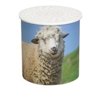 Animal Sound Maker Toy - Sheep Realistic Inverted Sounding - Animal Noise Gadget Age 12+, Sound Imitation Fun, Voice Box Device, Engaging For Toddler