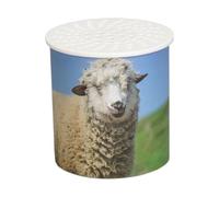 Animal Sounds Toy, Sheep Sound Noise Maker Toy Animal Sounds Screaming Goat With the Added Bonus of Being a Funny Prank Toy That Imitates Sheep Sounds for Little Hands to Explore