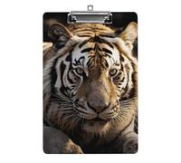 Animal Tiger Clipboard, A4 Acrylic Clipboards with Hanging Hook, Ultra Lightweight & Shatterproof Writing Board for Office, Nurses, 8.5" X 12.5"