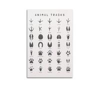 Animal Tracks EducationalCanvas Poster Wall Art Poster for Room Living Room Study Aesthetics And DecorationUnframe-style 12x18inch(30x45cm)