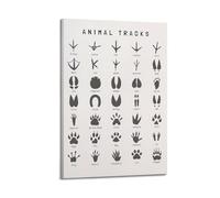 Animal Tracks EducationalCanvas Poster Wall Art Poster for Room Living Room Study Aesthetics And DecorationFrame-style 08x12inch(20x30cm)