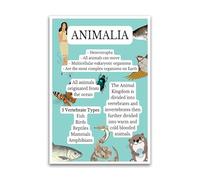Animal Types and Facts Poster - Animalia With Interesting Facts - 12 x 18 Inch Premium Gloss Poster - Classroom Science Poster Plant Anatomy - Made in USA - FHJP0104