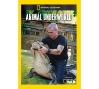 Animal Underworld (DVD) Henry Rollins (US IMPORT)