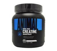 Universal Nutrition Animal Creatine, powder, 500 g