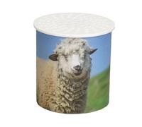 Animal Voice Box - Sheep Sound Imitation Toy, Interactive Noise Maker Device | Fun Engaging Design Enhancing Playtime for Kids Early Learning Sound Recognition Entertainment Toy Home Use