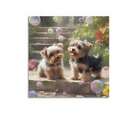 Animal Yorkshire Terriers on Steps Poster Modern Wall Art Canvas Aesthetic Decoration Painting 16x16inch(40x40cm) Unframe-style