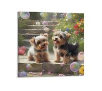 Animal Yorkshire Terriers on Steps Poster Modern Wall Art Canvas Aesthetic Decoration Painting 20x20inch(50x50cm) Frame-style