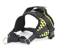 Animalinmulti harness size xxl turquoise