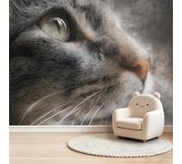 Animals and Cats Theme Wall Mural Wallpaper 350x256 cm - Cute Close Up of The Cat Pattern Poster Non-Woven Art Photo Wallpaper, Grey 3D Effect Wall Mural Covering for Living Room Bedroom Office Decor