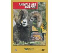 Animals Are Amazing: Living At The Edge