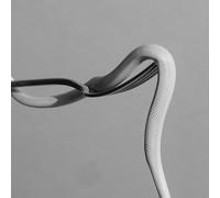 Animals As Leaders - Parrhesia (Opaque Baby Pink) [VINYL]