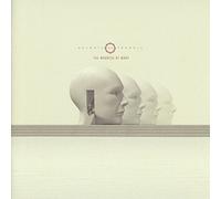 Animals As Leaders - The Madness Of Many