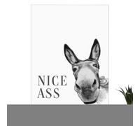 Animals Bathroom Wall Decoration | 30 By 40 Centimeters Beautiful Canvas Posters With Images | Animals Bathroom Decoration | For The, The Home, The Farm, Christmas, Easter, Men and Women
