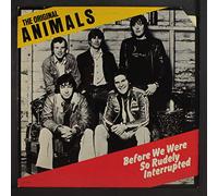 ANIMALS - before we were so rudely interrupted