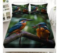 Animals Birds Kingfisher Picture Double Fitted Bed Sheet - Hotel Luxury Breathable Fitted Sheet Deep Pocket 12 inch Nature Soft & Comfy Brushed Bed Sheet with 2 Pillowcases for Adults