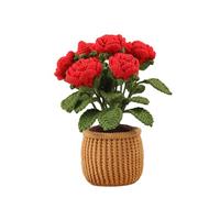 Animals Crochet Starter Kits Plant Crochet Yarn Set Beginners Kits Learn to Set by English Video Animals Starter Beginners Plant Yarn
