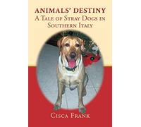 Animals' Destiny: A Tale of Stray Dogs in Southern Italy