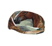 Animals Embroidery Paintings Horses Sports Sweatband Head Bands for Women Men, Lightweight Breathable Non Slip Workout Headbands Hairband for Fitness Running Cycling Hiking Yoga