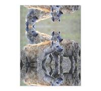 Animals Hyena Crystal Sticker, 3D Stereoscopic Effect, Pattern Does Not Fall Off When Exposed to Water