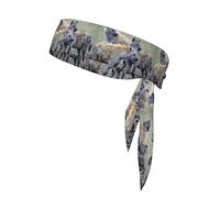 Animals Hyena Printing 1 Pieces Headband Hair Band Unisex Dry Head Tie Sport Band For Basketball Running Tennis